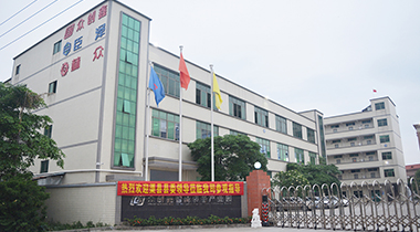热烈欢迎渠县县委领导莅临我司参观指导！